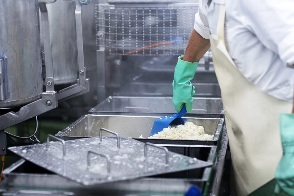 Worker in a food production plant