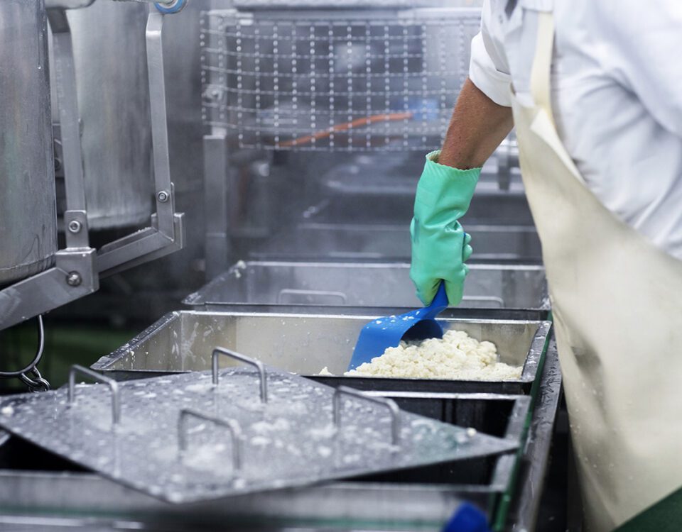 Worker in a food production plant